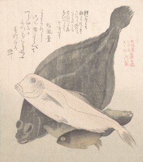 Flounder and Other Fishes, 19th century. Creator: Kubo Shunman.