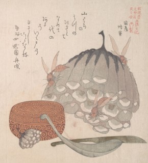 Hives with Wasps, and a Box with a Spoon for Honey, 19th century. Creator: Kubo Shunman.