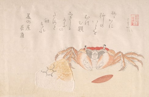 Crab, Baked Rice-Ball and Seed of Persimmon, 19th century. Creator: Kubo Shunman.