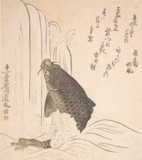 Carp Trying to Swim up a Waterfall, probably 1820. Creator: Kurokawa Michita.