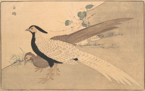 Bai xian, 1789. Creator: Kitao Masayoshi.