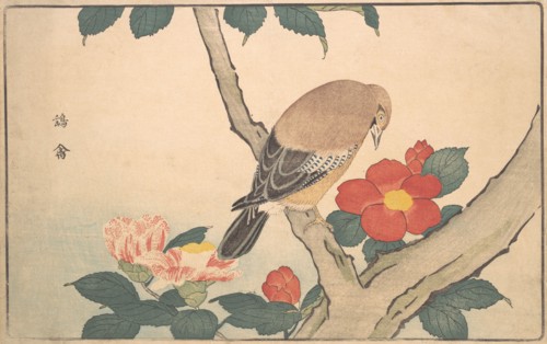Camellias with a Bird, 1789. Creator: Kitao Masayoshi.