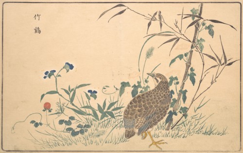 Zhu ji, 1789. Creator: Kitao Masayoshi.