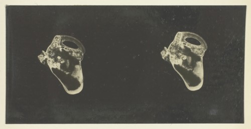 The Labyrinth of Animals; Including Mammals, Birds, Reptiles, & Amphibians - Vol. II, 1900/08. Creator: Unknown.