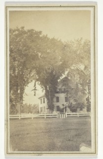 Miss Brown's house and curious elm cross., mid-late 19th century.  Creator: H. O. Bly.