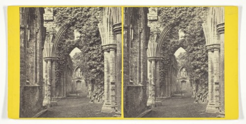 Tintern Abbey: South Aisles, late 19th century. Creator: Alexander Wilson.