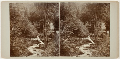 Untitled (Schweizerlat, St. Goarshausen), 1860s. Creator: Unknown.