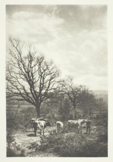 A Windy Corner, 1880/90, printed January 1891. Creator: B. Gay Wilkinson.