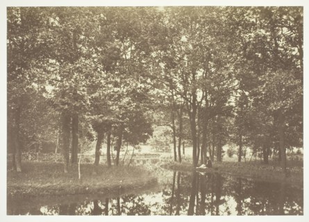 Untitled, c. 1850. [Trees near water in the Bois de Boulogne, a park in Paris].  Creator: Charles Marville.