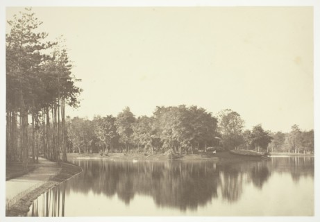 Untitled, c. 1850. [Trees near water in the Bois de Boulogne, a park in Paris].  Creator: Charles Marville.