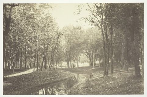 Untitled, c. 1850. [Trees near water in the Bois de Boulogne, a park in Paris].  Creator: Charles Marville.