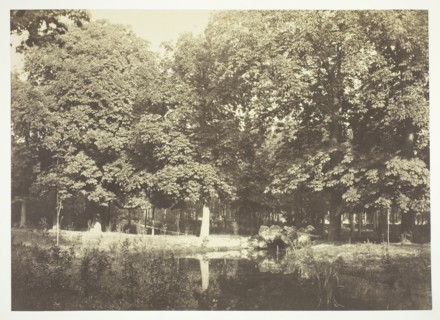 Untitled, c. 1850. [Trees near water in the Bois de Boulogne, a park in Paris].  Creator: Charles Marville.