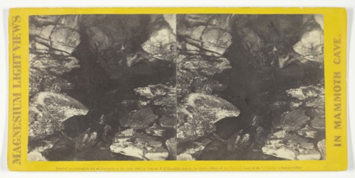 Wild Hall, 1866. Creator: Charles Waldack.