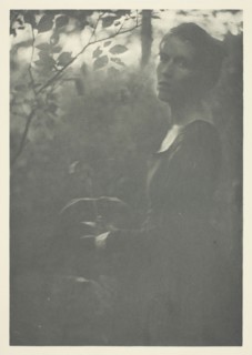 Edge of Woods, c. 1899. Creator: Clarence H White.