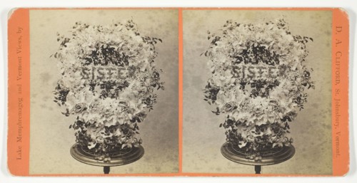 Flower Piece at Kate Bemis' Funeral, April 13, 1886. Creator: D. A. Clifford.