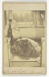 High Rock Spring, c. 1865. Creator: Deloss Barnum.