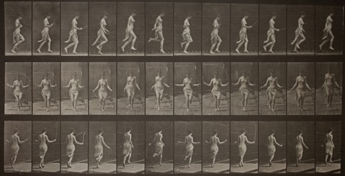 Animal Locomotion, Plate 174, 1887. Creator: Eadweard J Muybridge.