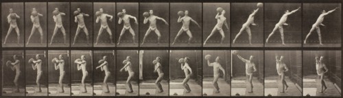 Animal Locomotion, Plate 319, 1887. Creator: Eadweard J Muybridge.