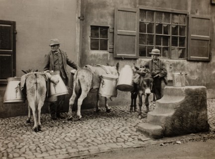 Milk Donkeys, c. 1890. Creator: Frank Meadow Sutcliffe.
