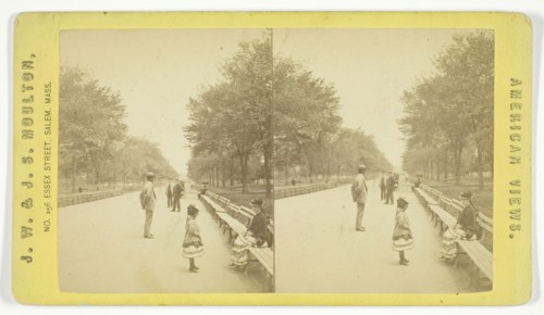 The Mall, 1873/81. Creator: J.W. & J.S. Moulton.