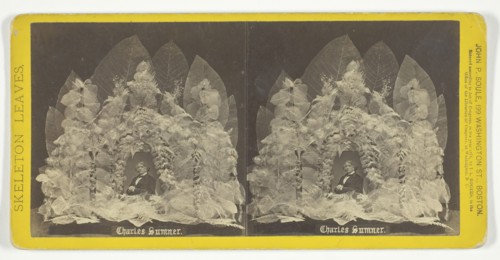 Charles Sumner, 1874. Creator: John P. Soule.