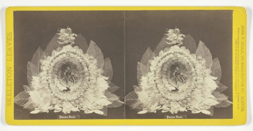 Parepa Rosa, 1874. Creator: John P. Soule.