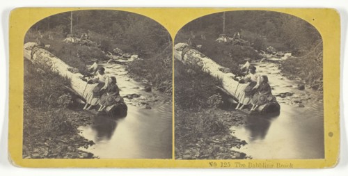 The Babbling Brook, 1855/75. Creators: Kilburn Brothers, BW Kilburn.