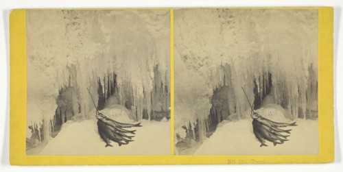 Trout, 1855/75. Creators: Kilburn Brothers, BW Kilburn.