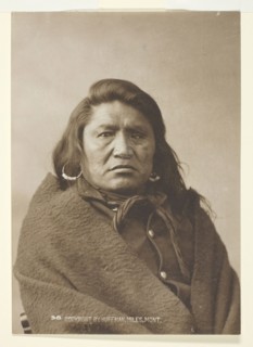 Deaf Bull, c. 1880. Creator: Laton Alton Huffman.