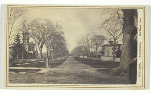 Hillhouse Avenue, 19th century.  Creator: Peck Brothers.