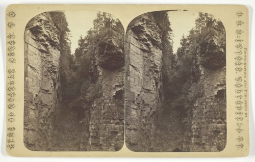 Shady Gorge, late 19th century. Creator: R. M. McIntosh.