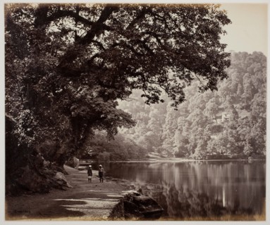 Untitled [trees near water, India], 1870s.  Creator: Samuel Bourne.