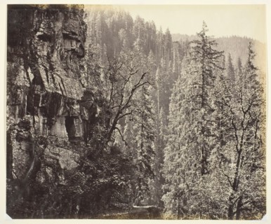 Untitled [cliffs and trees], c. 1865.  Creator: Samuel Bourne.