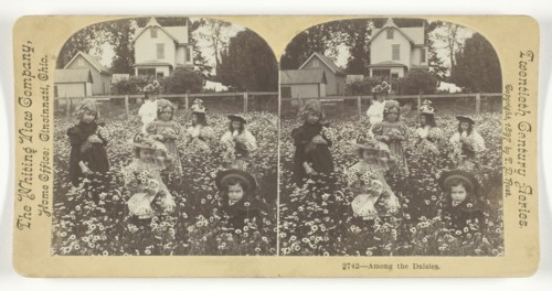 Among the Daisies, 1897. Creator: T.D. Rust.