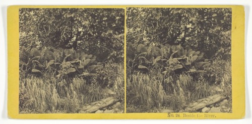 Beside the River, 1868/69. Creator: Whiting Bros.