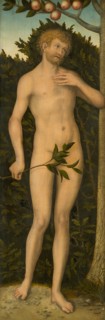 Adam, 1533/37. Creator: Lucas Cranach the Elder.