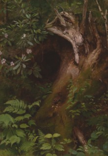 The Squirrel, 1860s/70s. Creator: Seymour Joseph Guy.