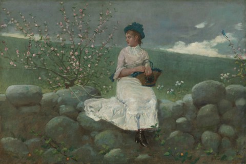 Peach Blossoms, 1878. Creator: Winslow Homer.