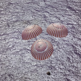 Apollo 16 Recovery, 1972. Creator: NASA.