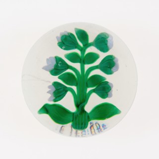 Paperweight, France, 19th century. Creator: Baccarat Glasshouse.