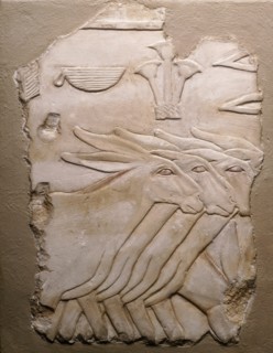 Fragment of a Tomb Wall Depicting Donkeys, Egypt, Old Kingdom, Dynasty 5 (about 2504-2347 BCE). Creator: Unknown.