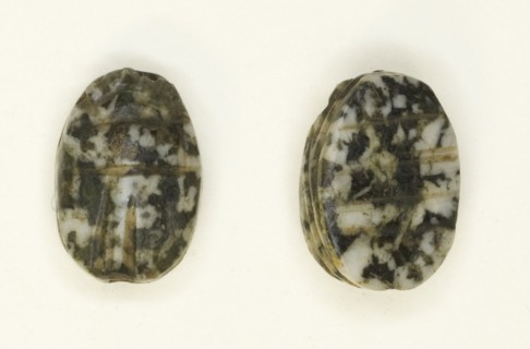 Scarab: Linear Motifs, Egypt, First Intermediate Period-Early Middle Kingdom, Dynasties 9-12... Creator: Unknown.