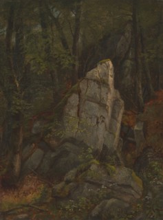Study of Rocks in Pearson's Ravine, mid-1850s. Creator: Asher Brown Durand.