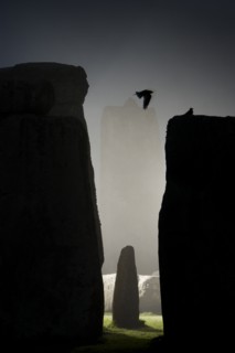 General view of Stonehenge at night, showing a Jackdaw filying between the stones, 2011. Creator: James O Davies.