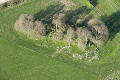 East Kennett long barrow, Wiltshire, 2015. Creator: Historic England.