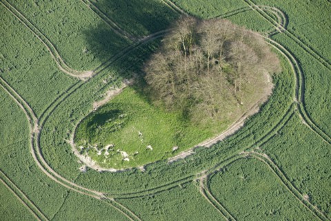 A pair of round barrows on Avebury Down, Wiltshire, 2015. Creator: Historic England.