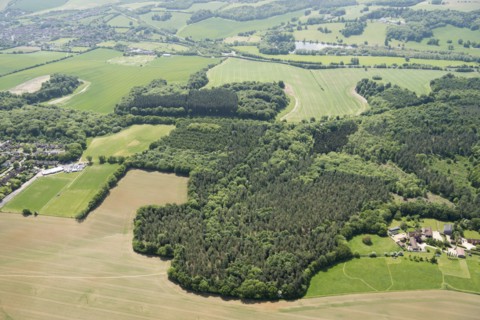 Weedonhill Wood, Shardeloes, Amersham, Buckinghamshire, 2018 Creator: Historic England.