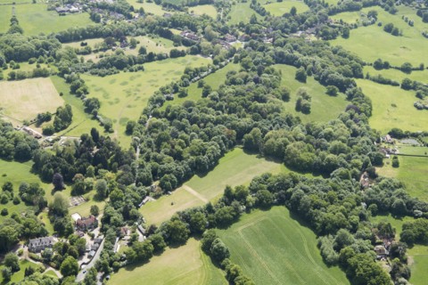 Wild gardens to Warley Place, Essex, 2018. Creator: Historic England.