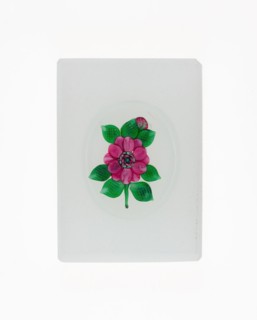 Paperweight, Clichy, 19th century.