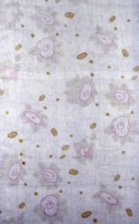 Panel (Dress or Furnishing Fabric), Vienna, 1903/05. Produced by the Wiener Werkstätte.